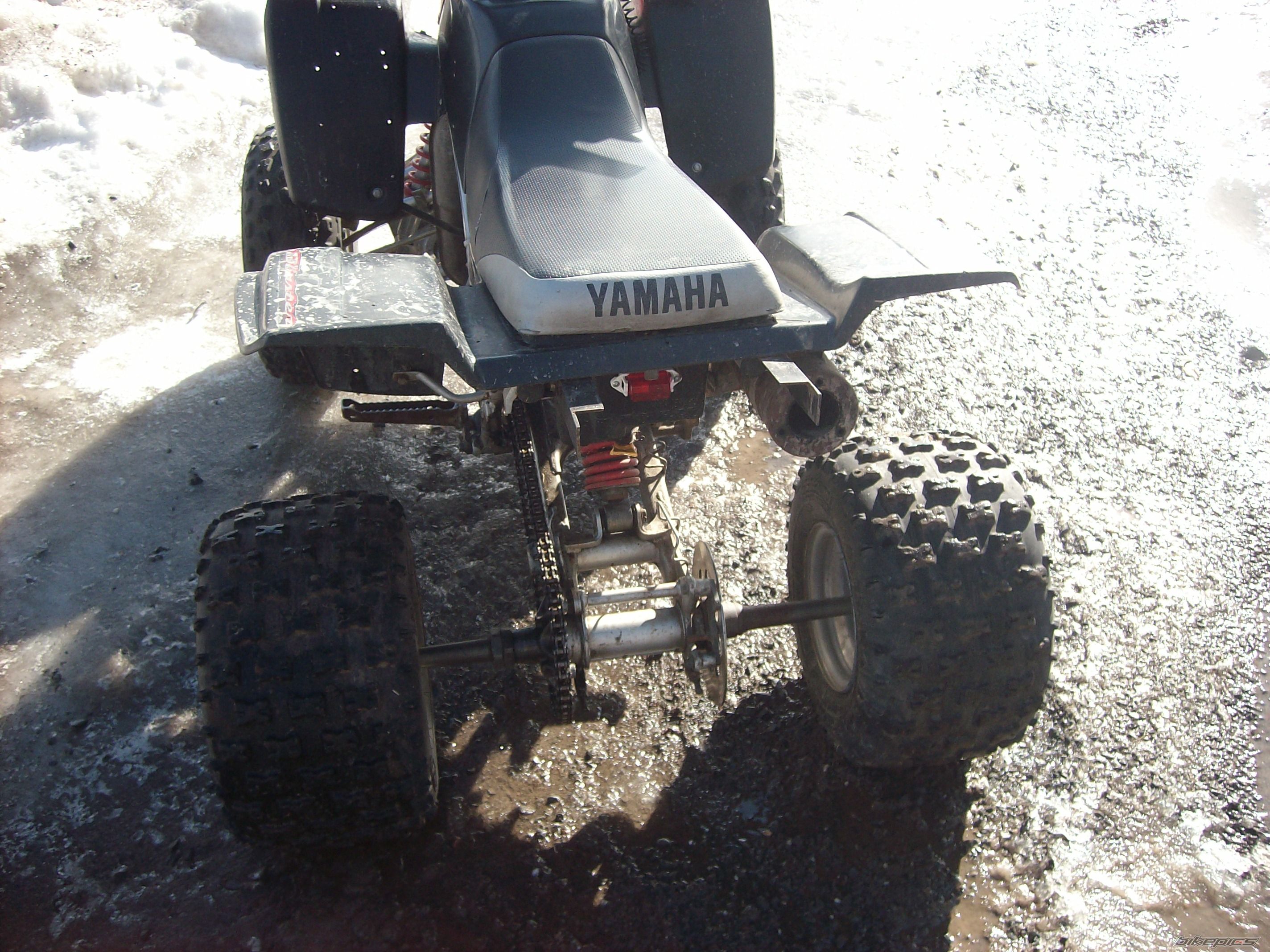 Photo 1571371