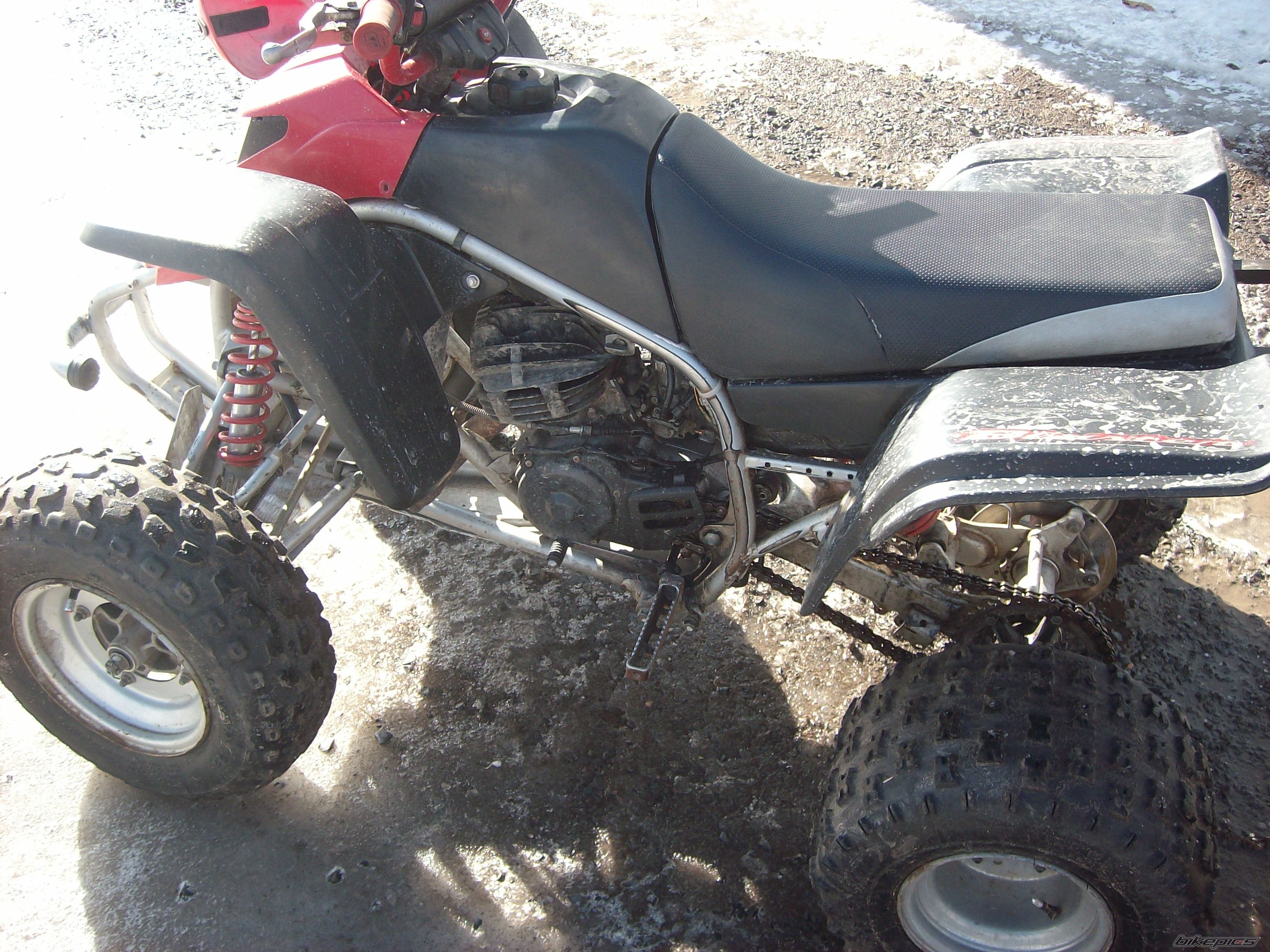 Photo 1571372