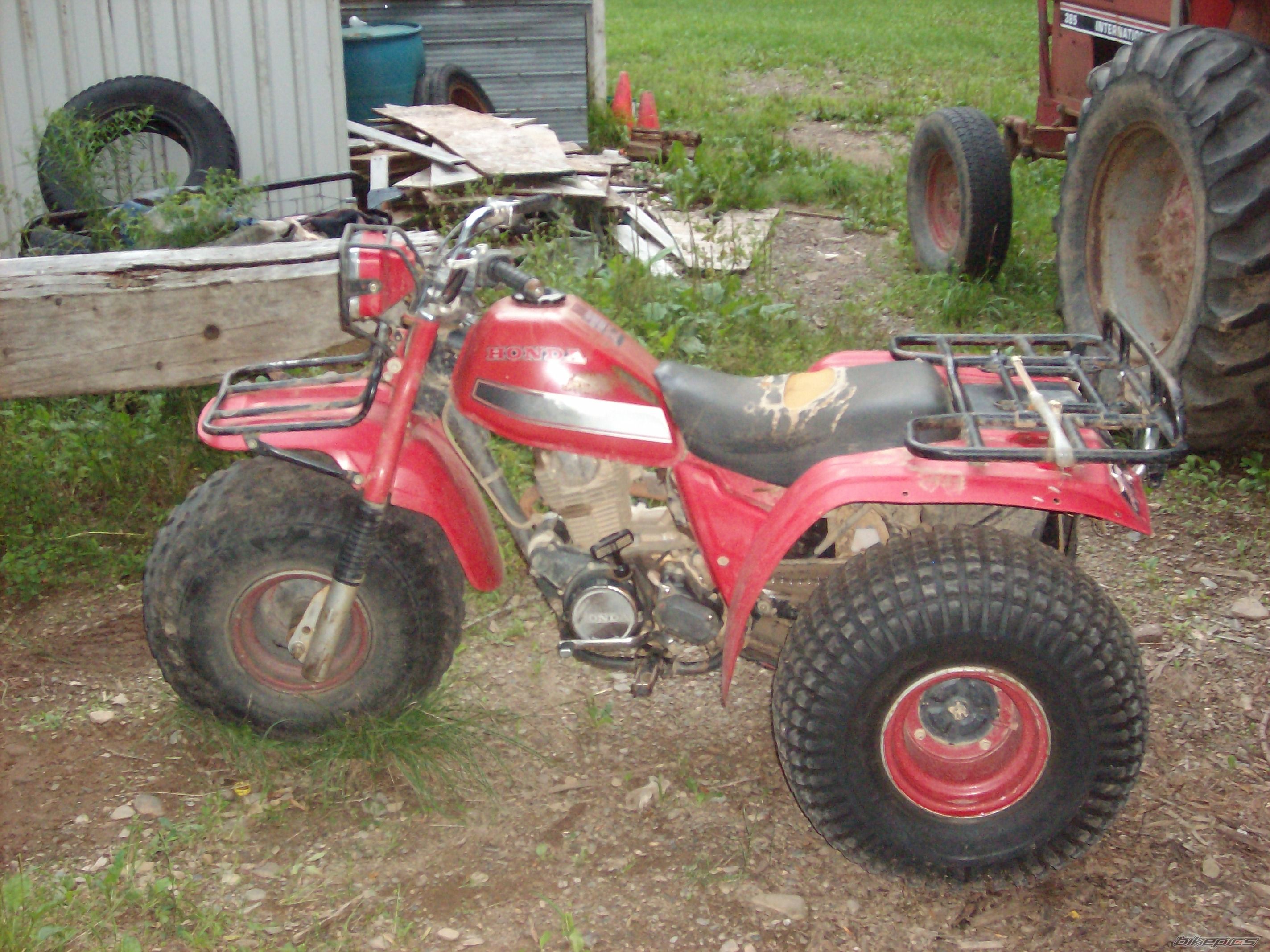 Photo 1571375