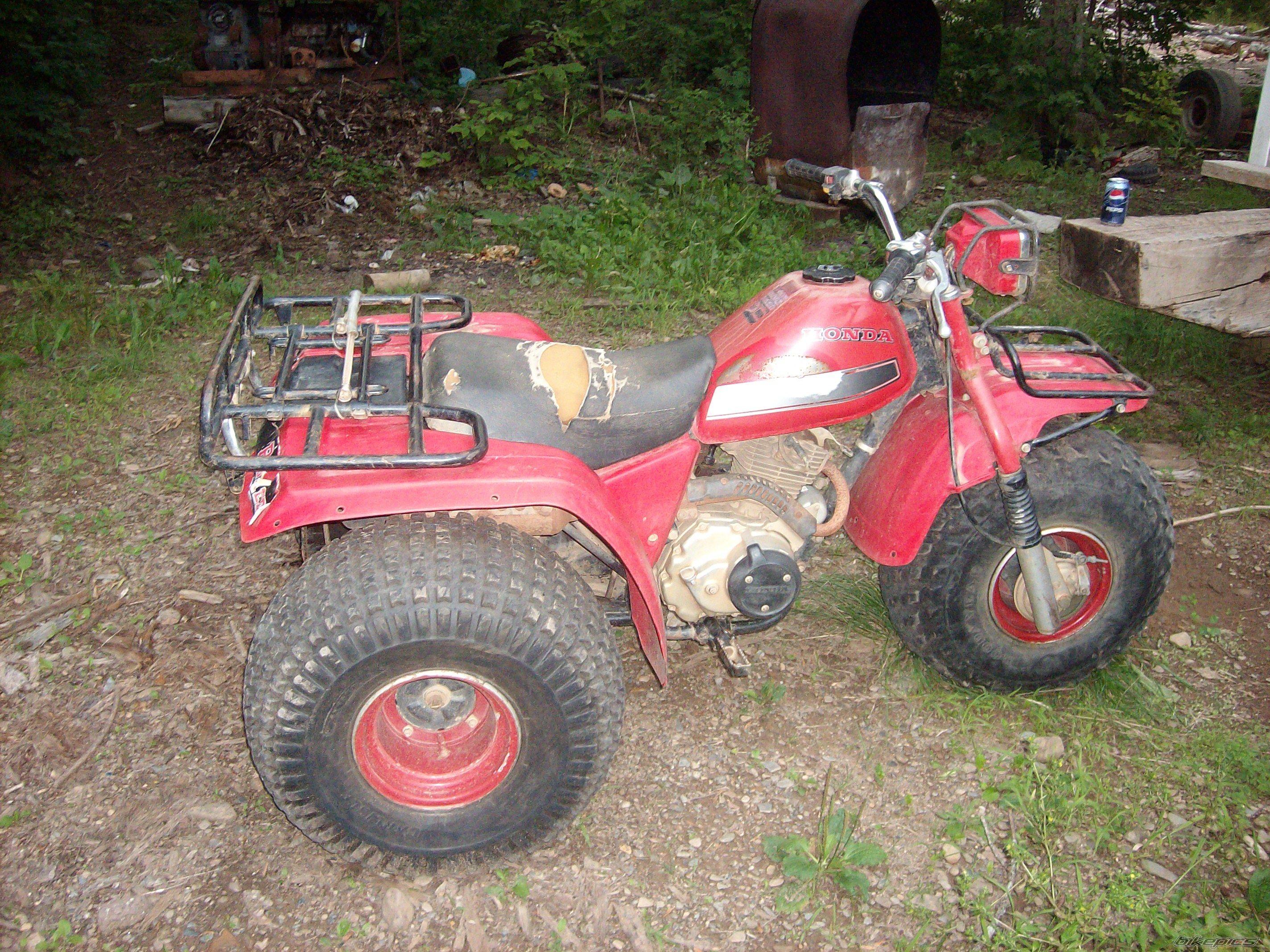 Photo 1571376