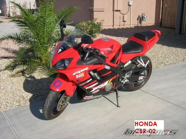 Photo 1571381
