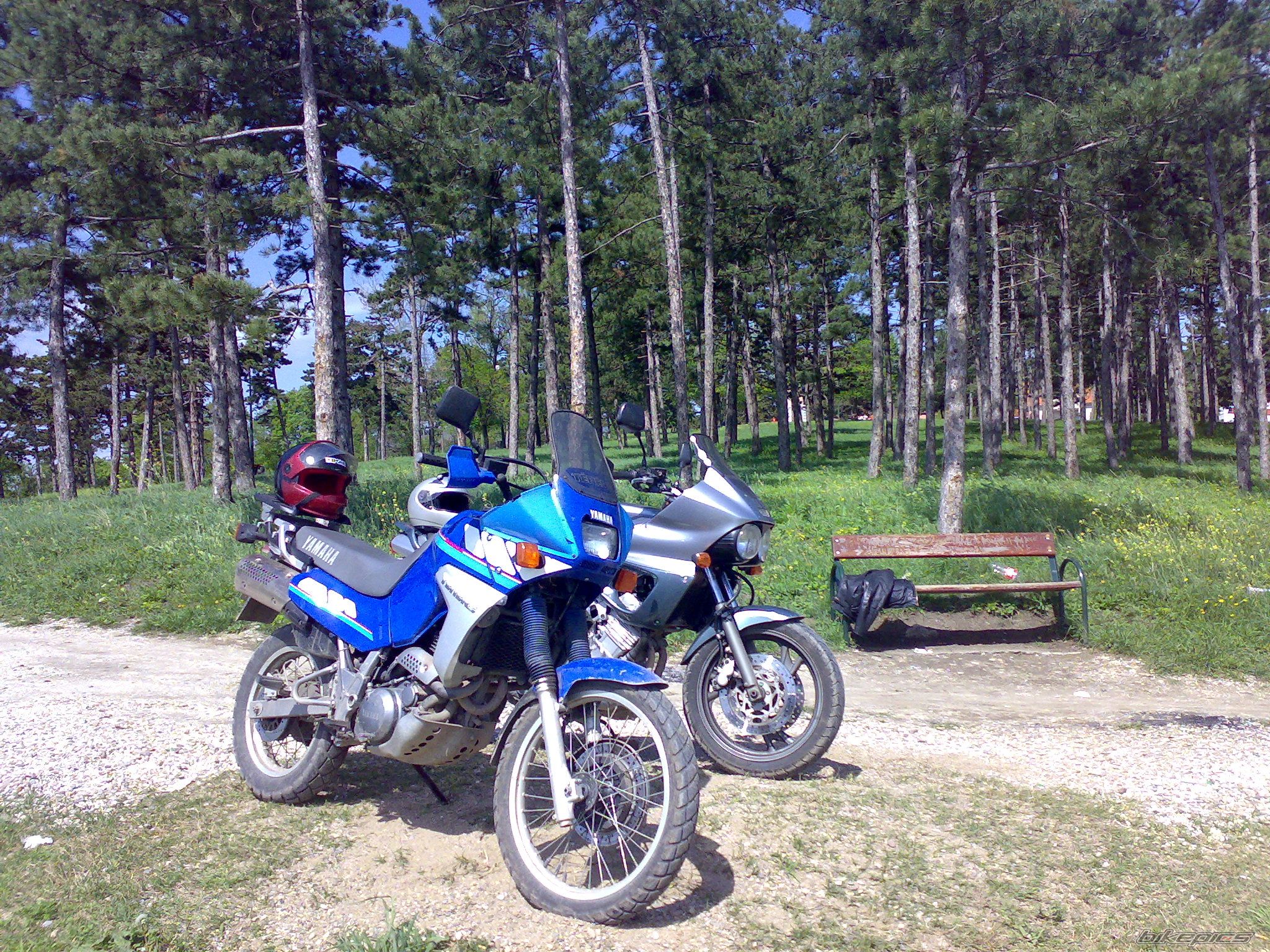 Photo 1571396