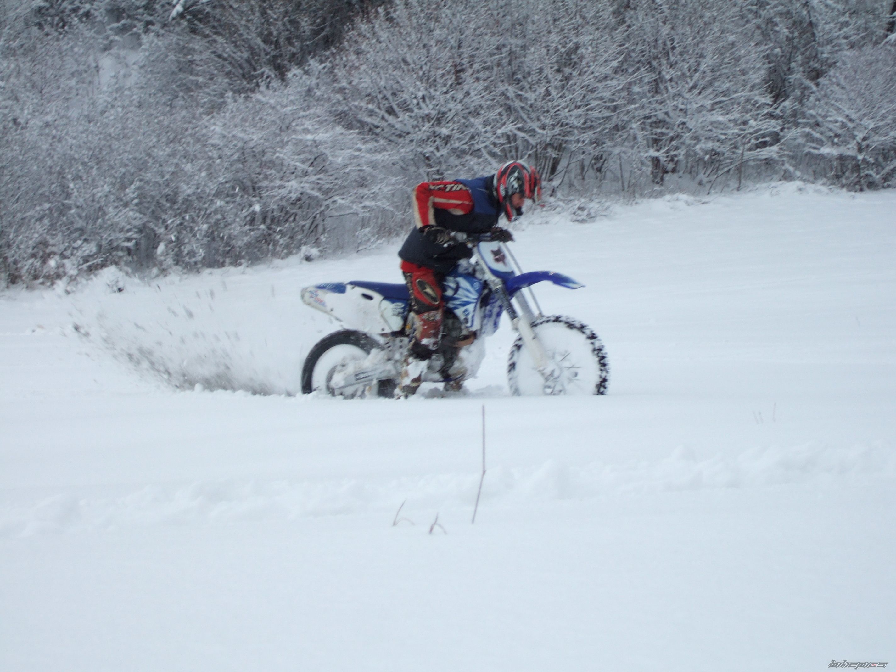 Photo 1571431
