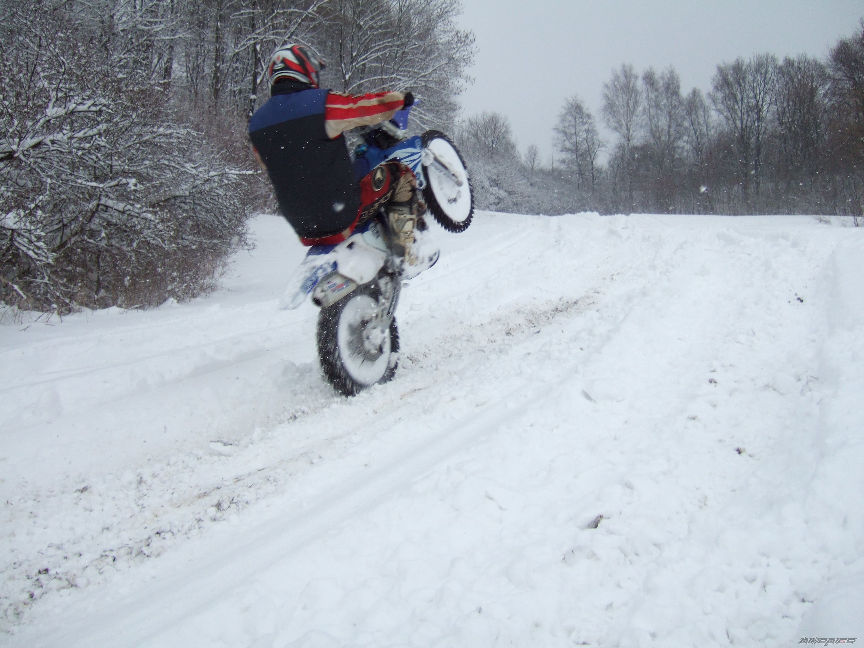 Photo 1571482