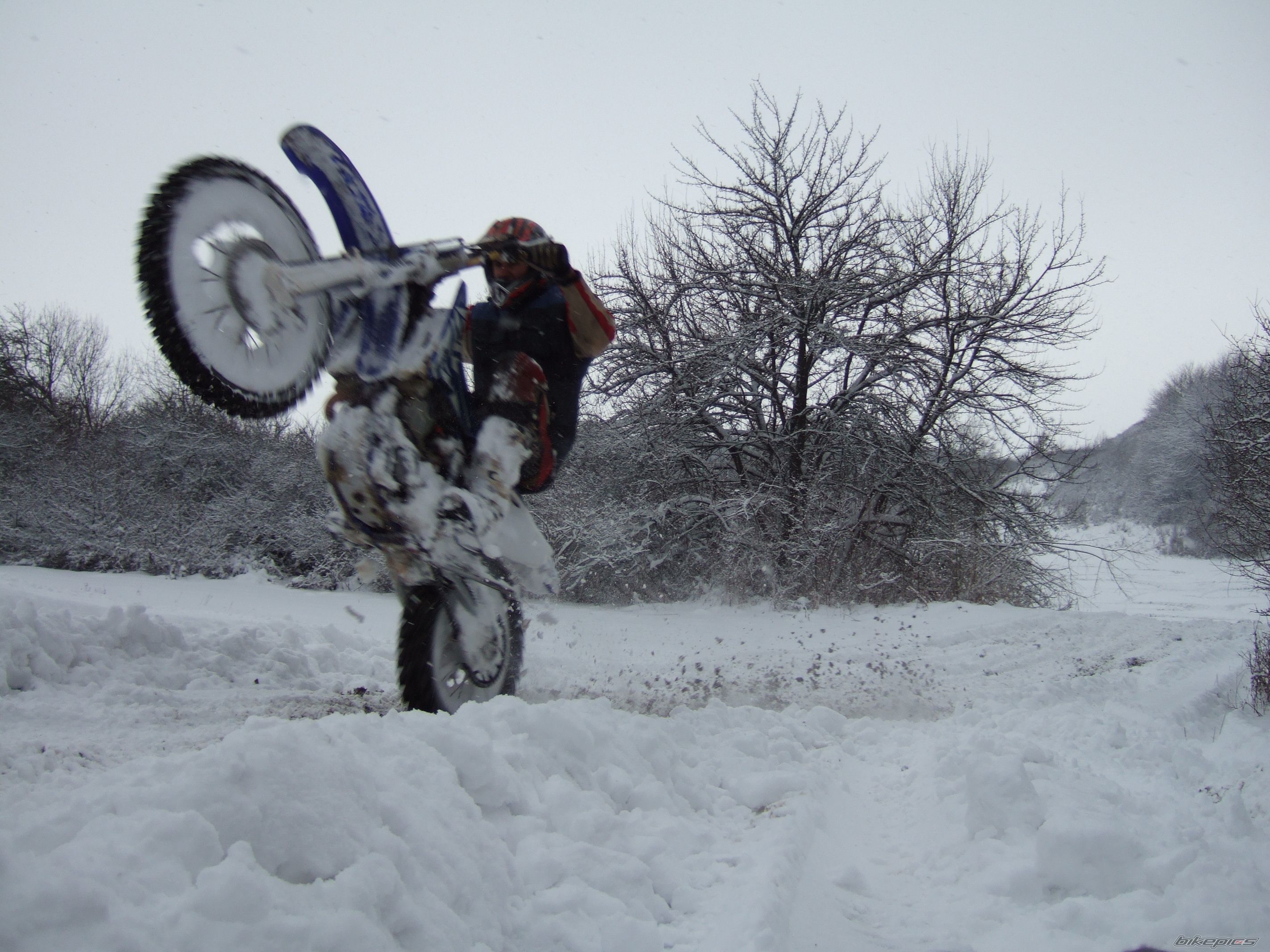 Photo 1571487