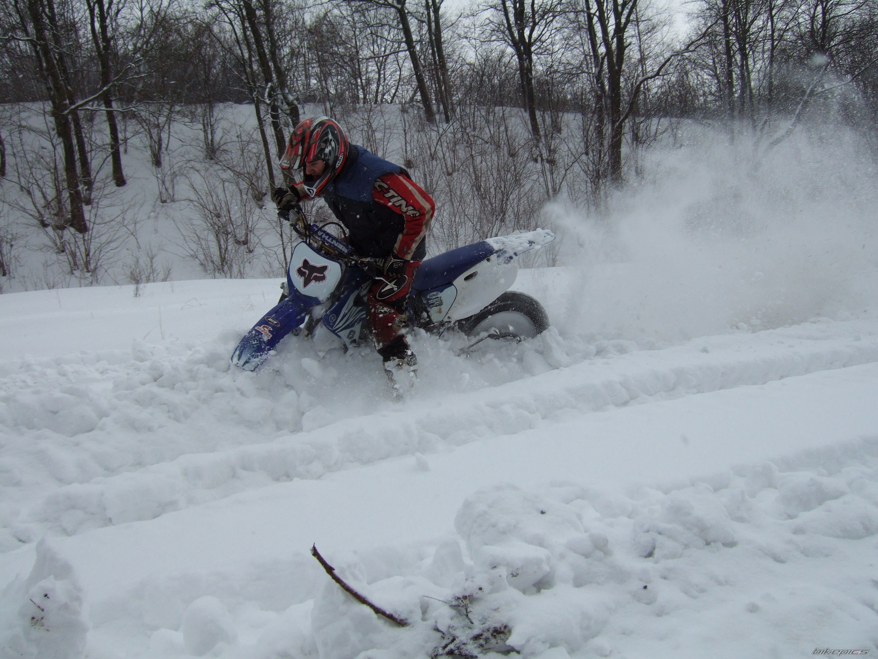 Photo 1571502