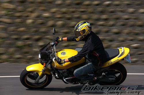 Photo 1571517