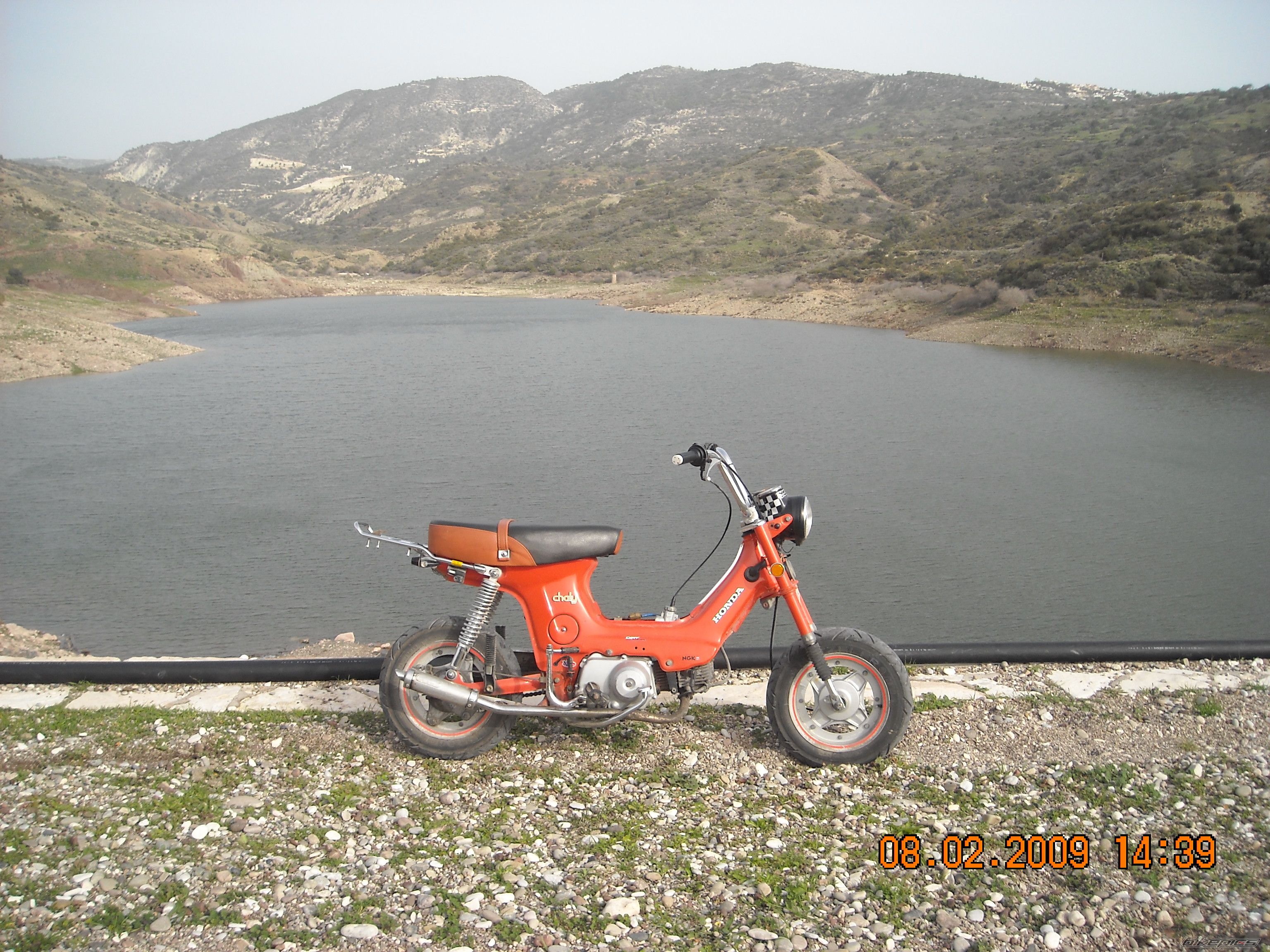 Photo 1571524