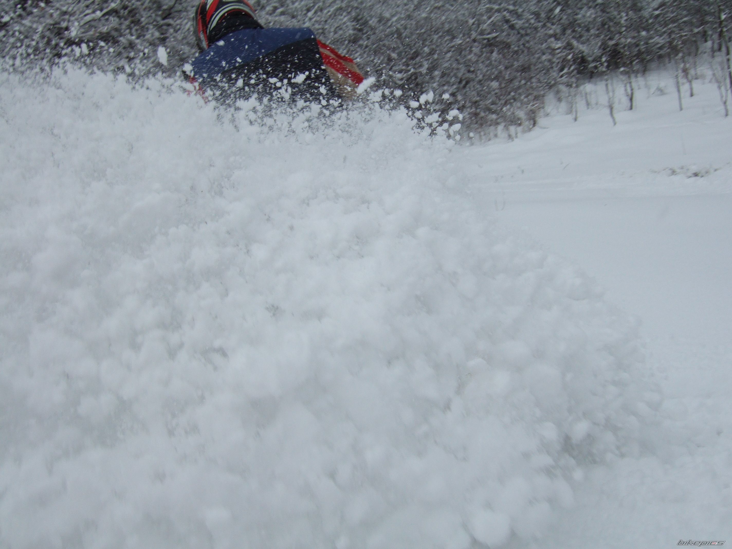 Photo 1571534