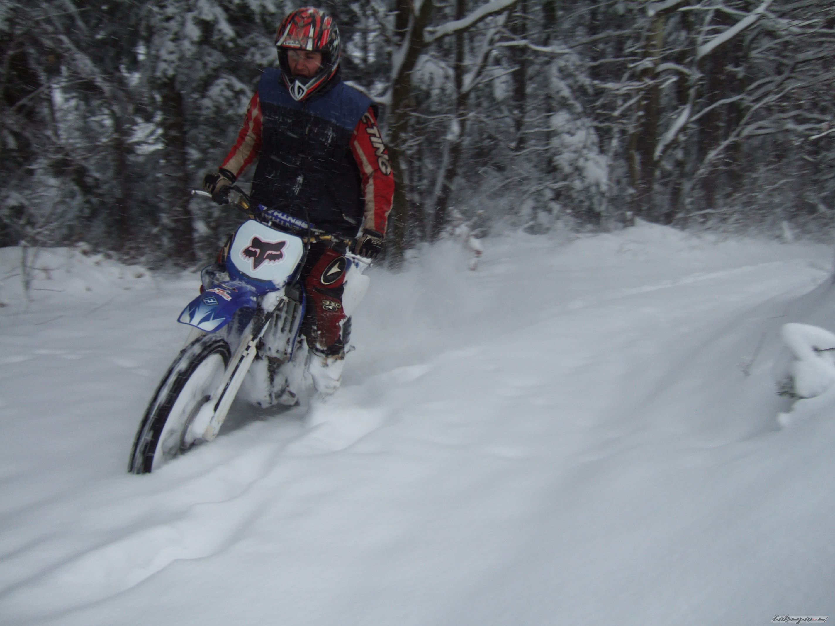 Photo 1571575