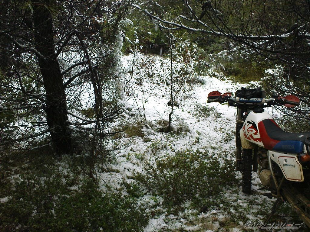Photo 1571627