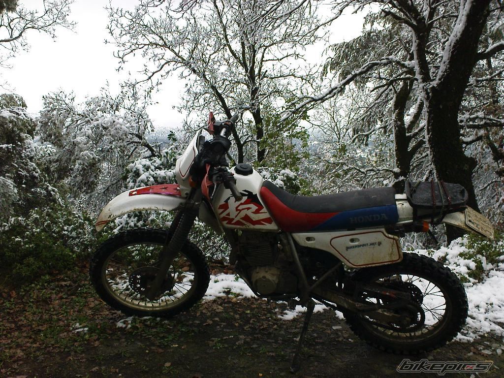 Photo 1571630