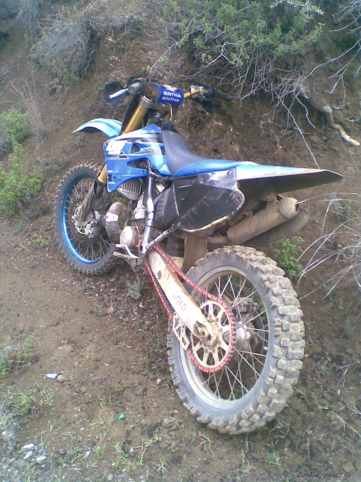 Photo 1571637