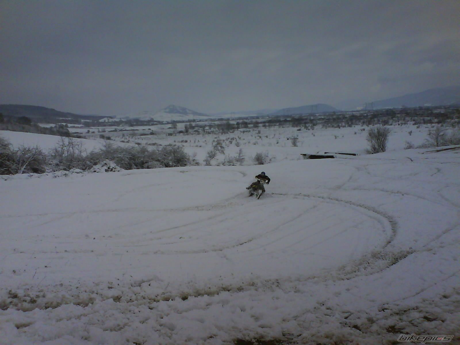 Photo 1571763