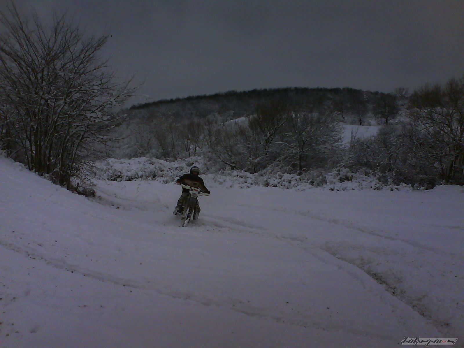 Photo 1571773