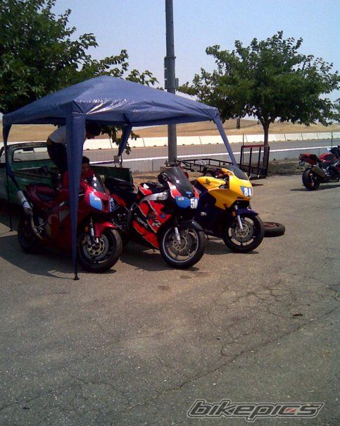Photo 1571781