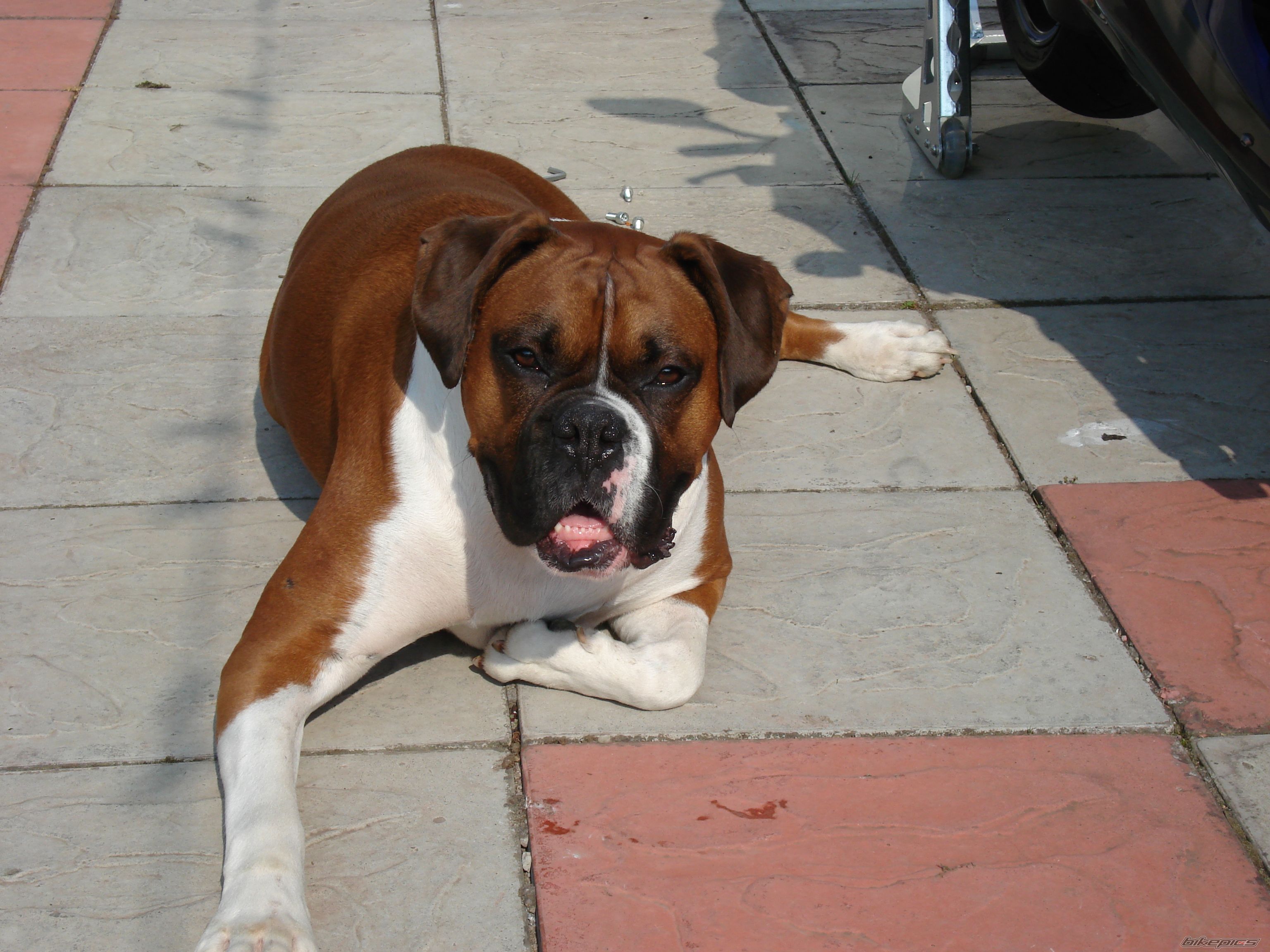 Photo 1571831