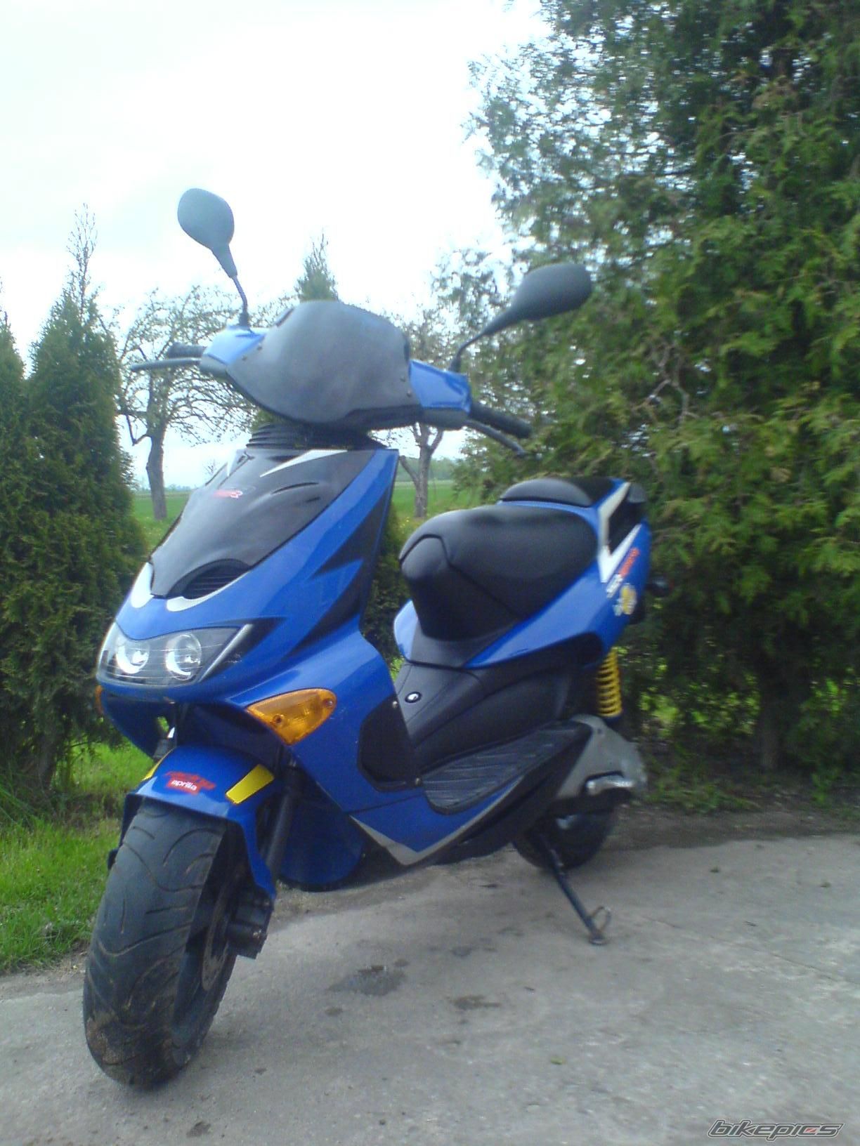 Photo 1571835
