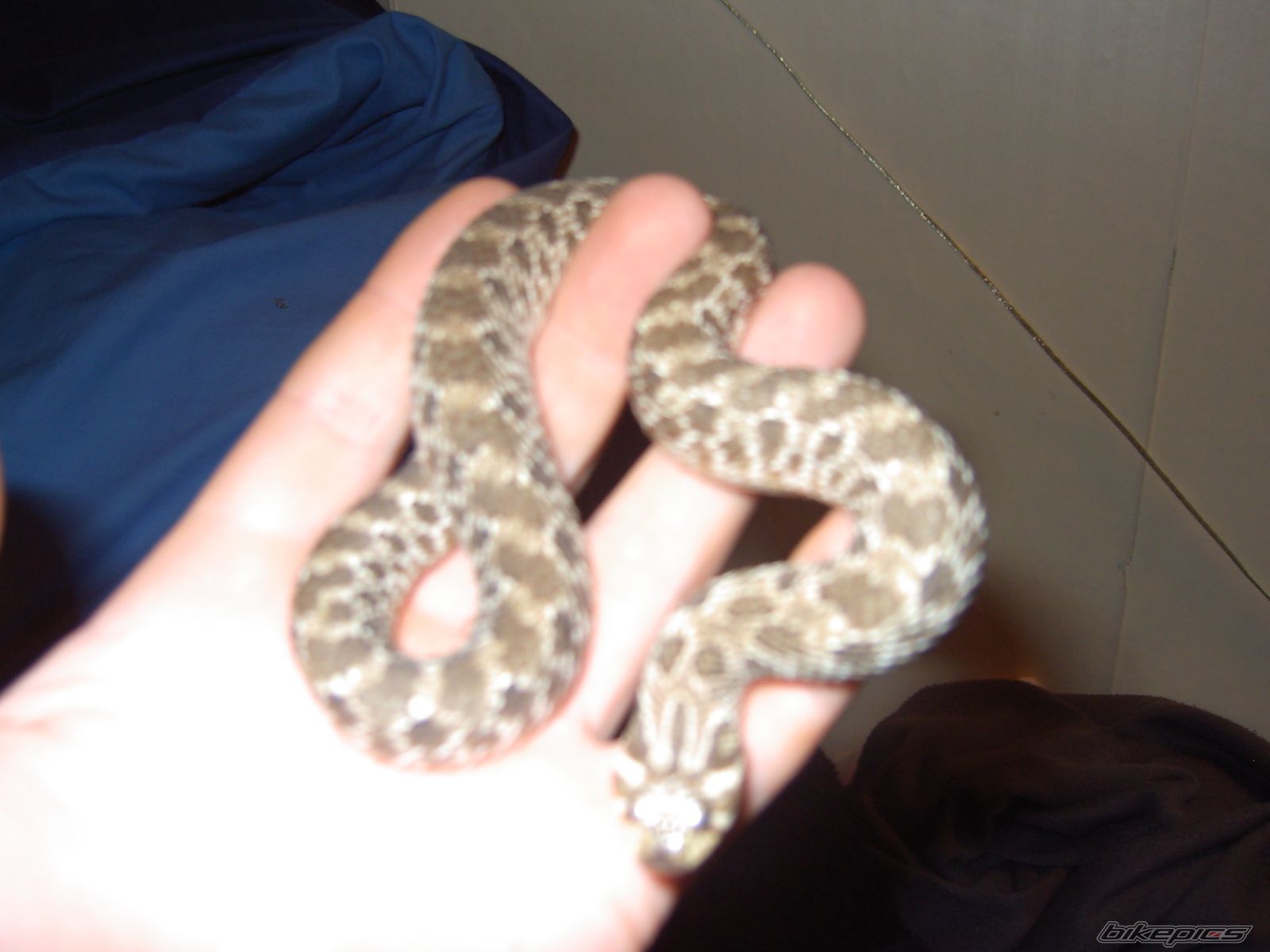 Photo 1571842