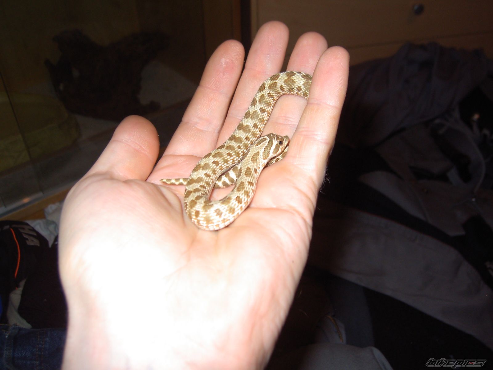 Photo 1571844