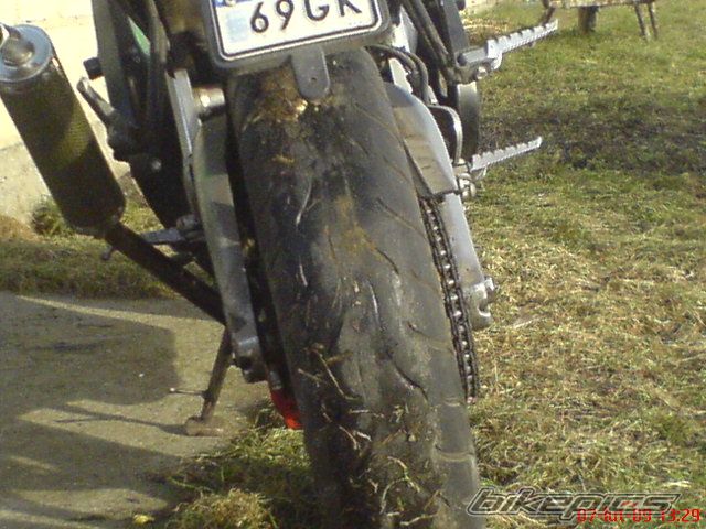 Photo 1571908