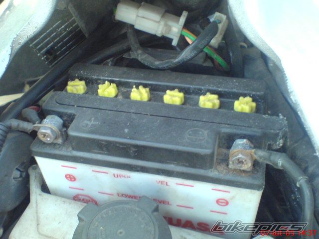 Photo 1571910