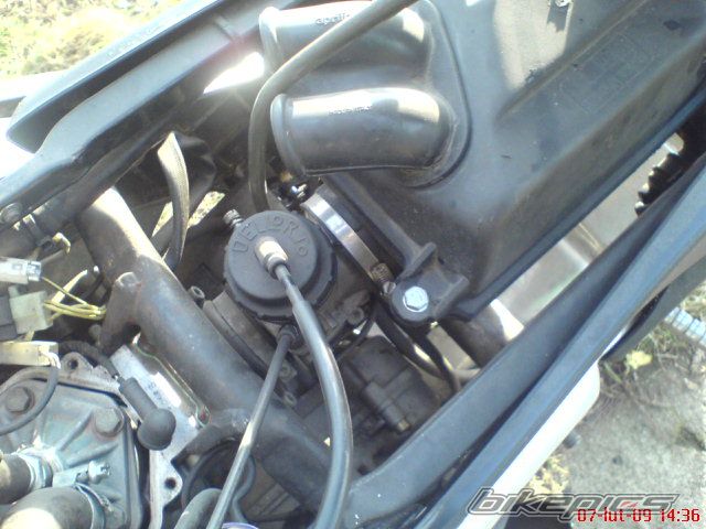 Photo 1571916