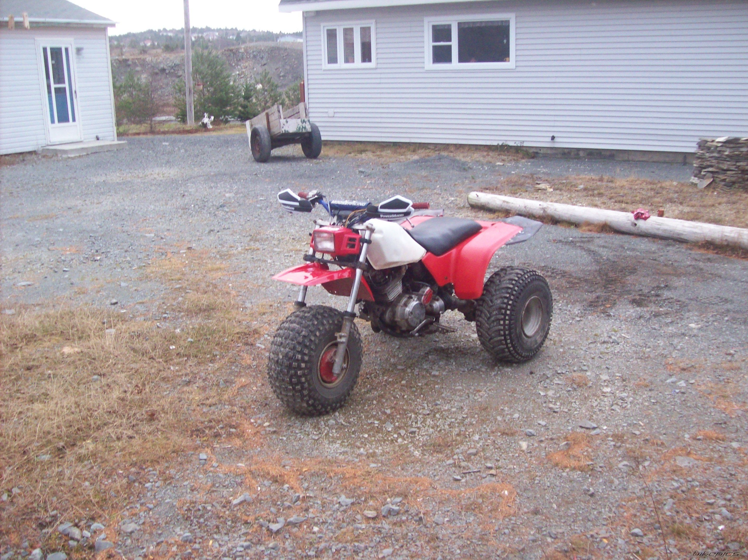 Photo 1571997