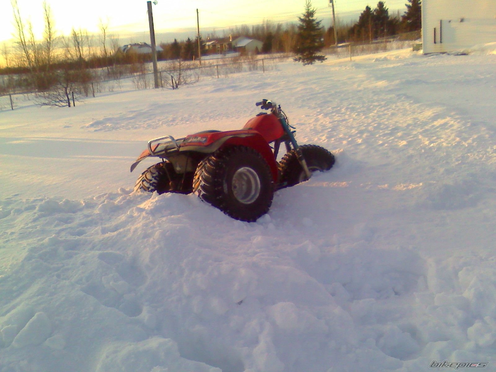 Photo 1572006