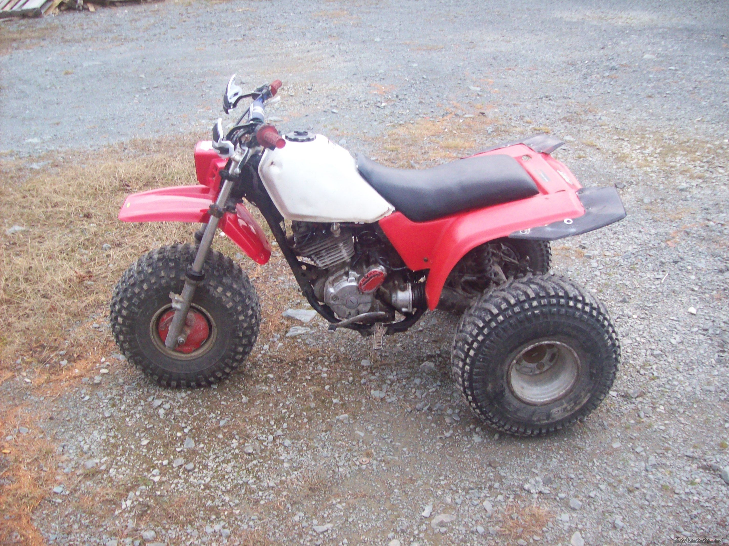 Photo 1572015