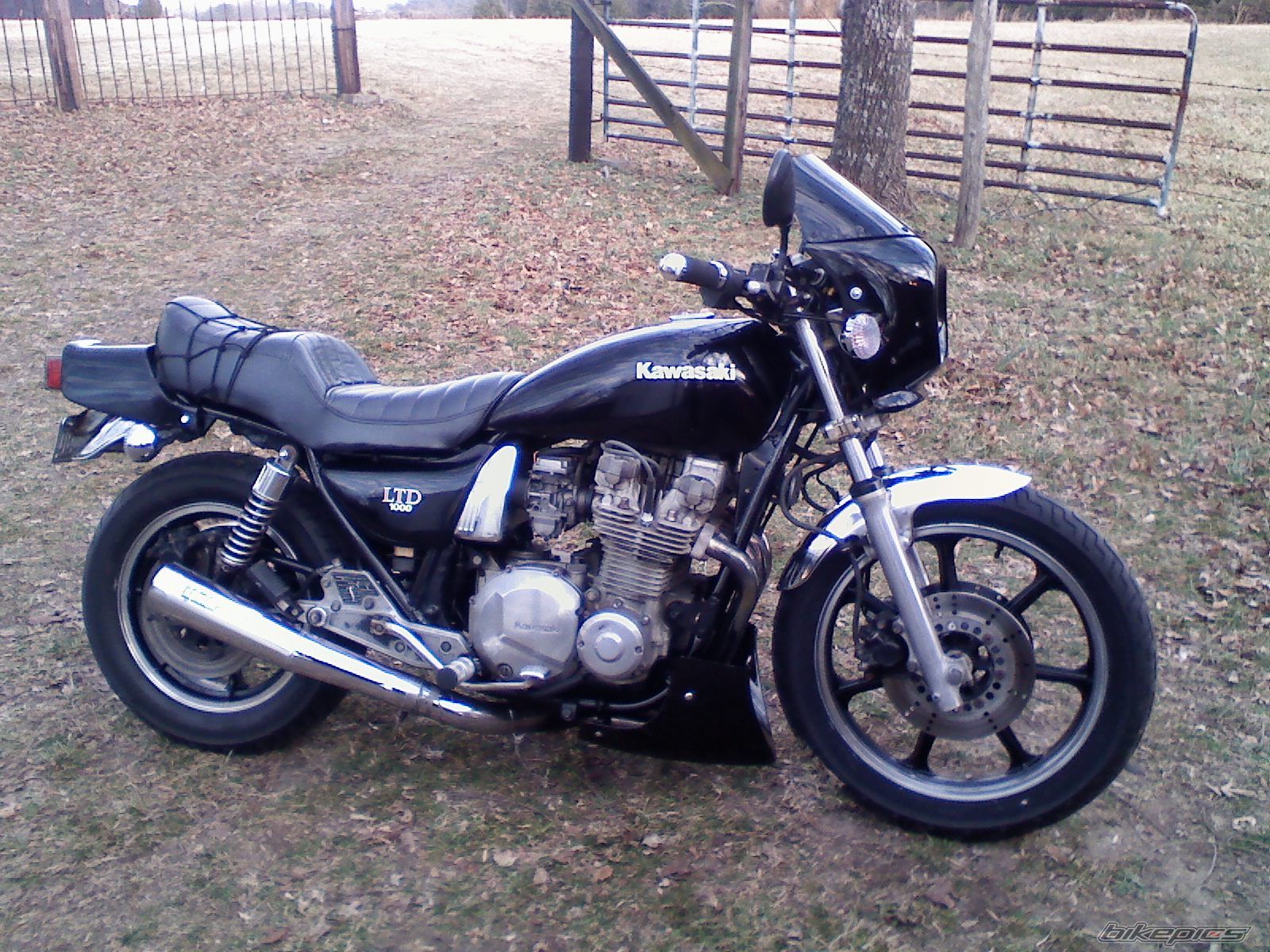 Photo 1572049