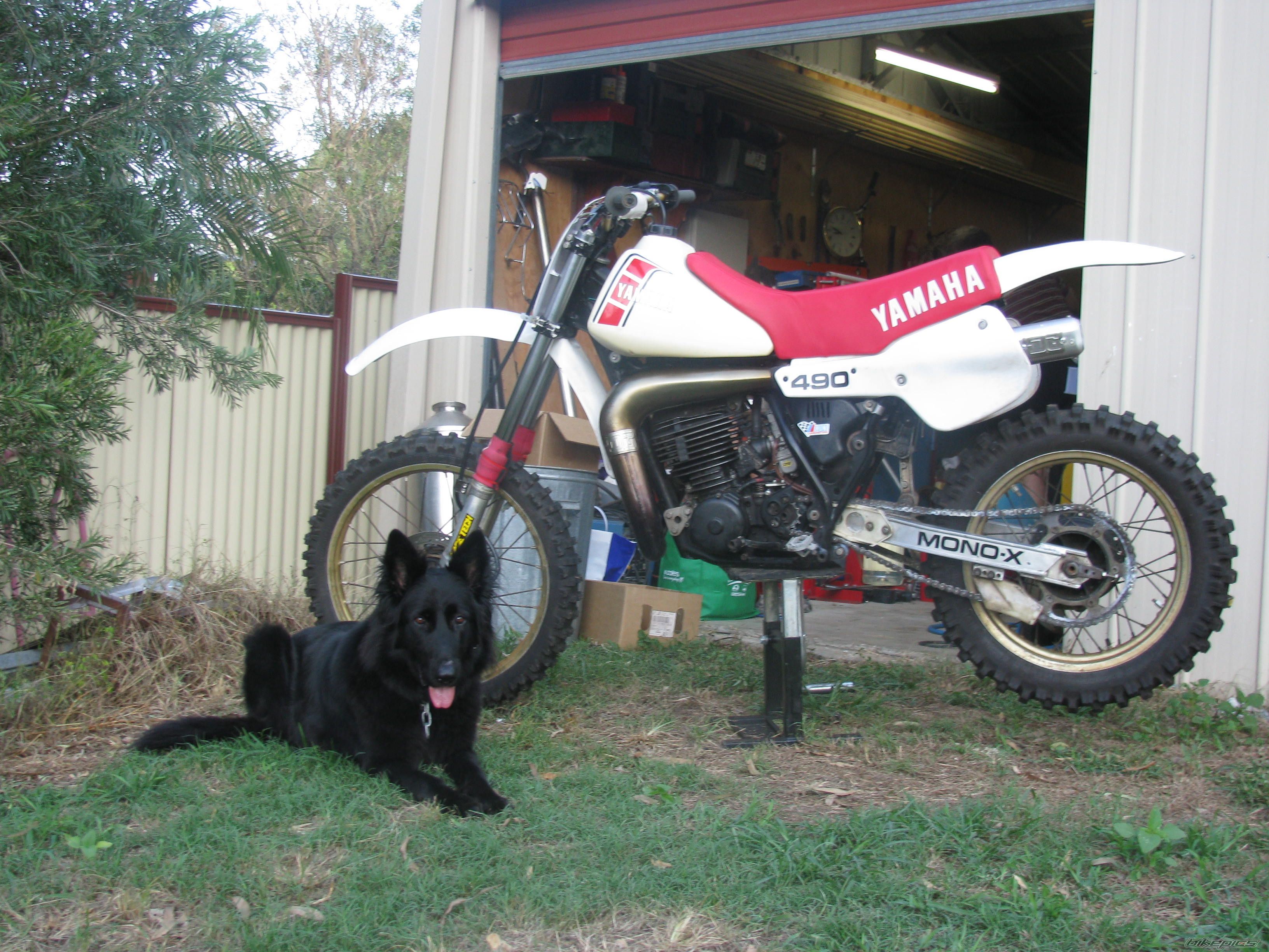 Bike Photo 1572177
