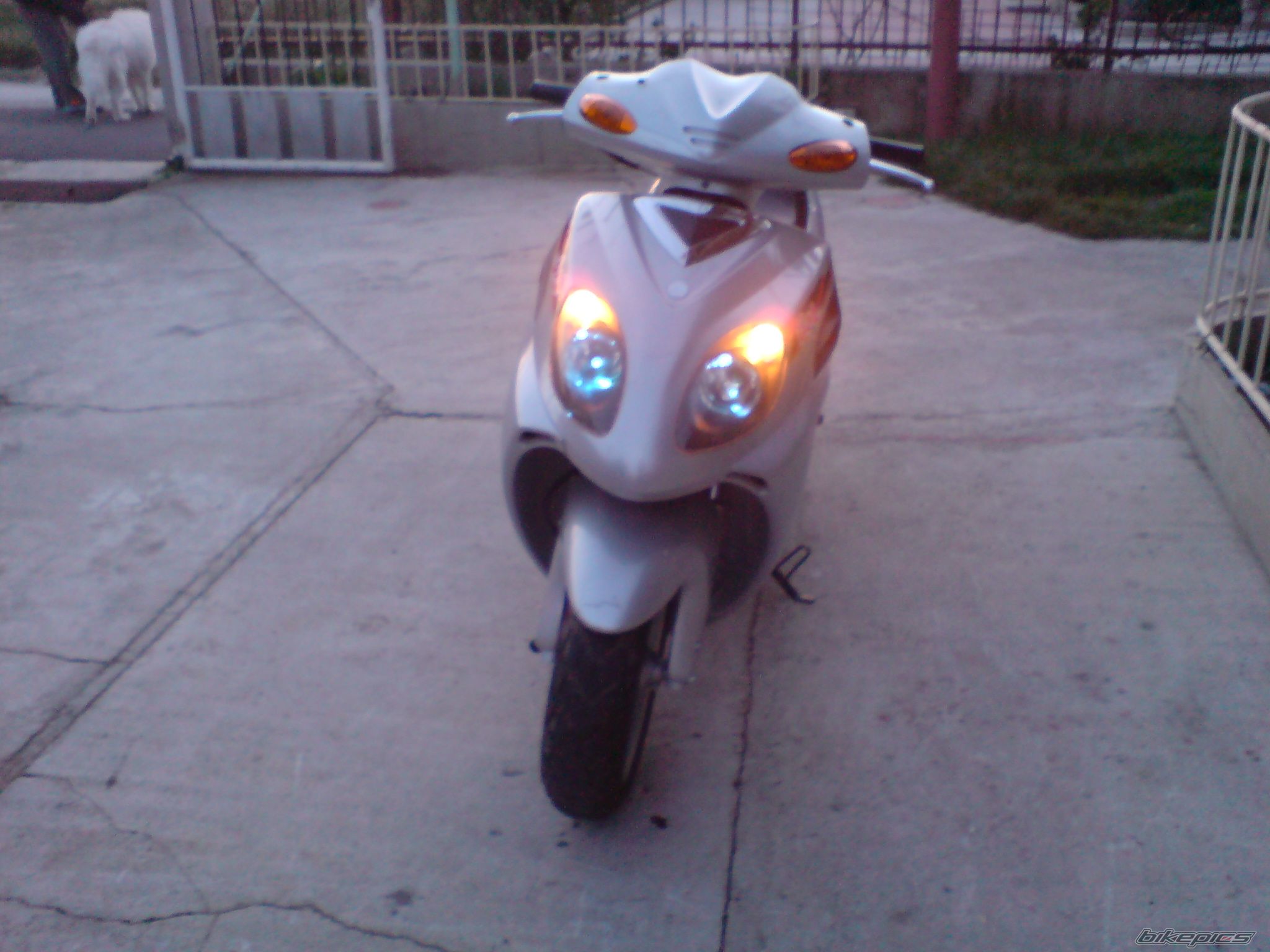 Photo 1572241