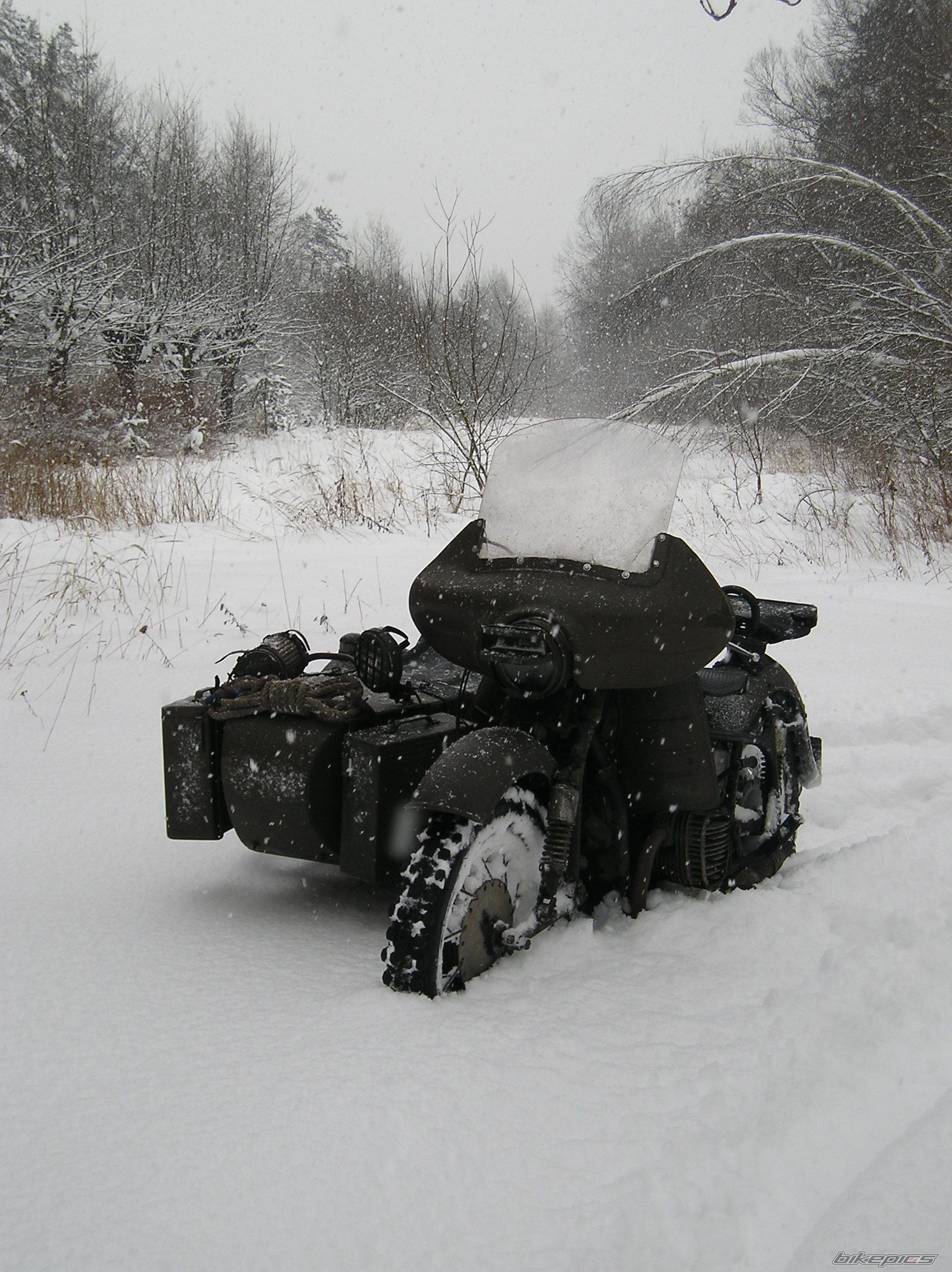 Photo 1572272