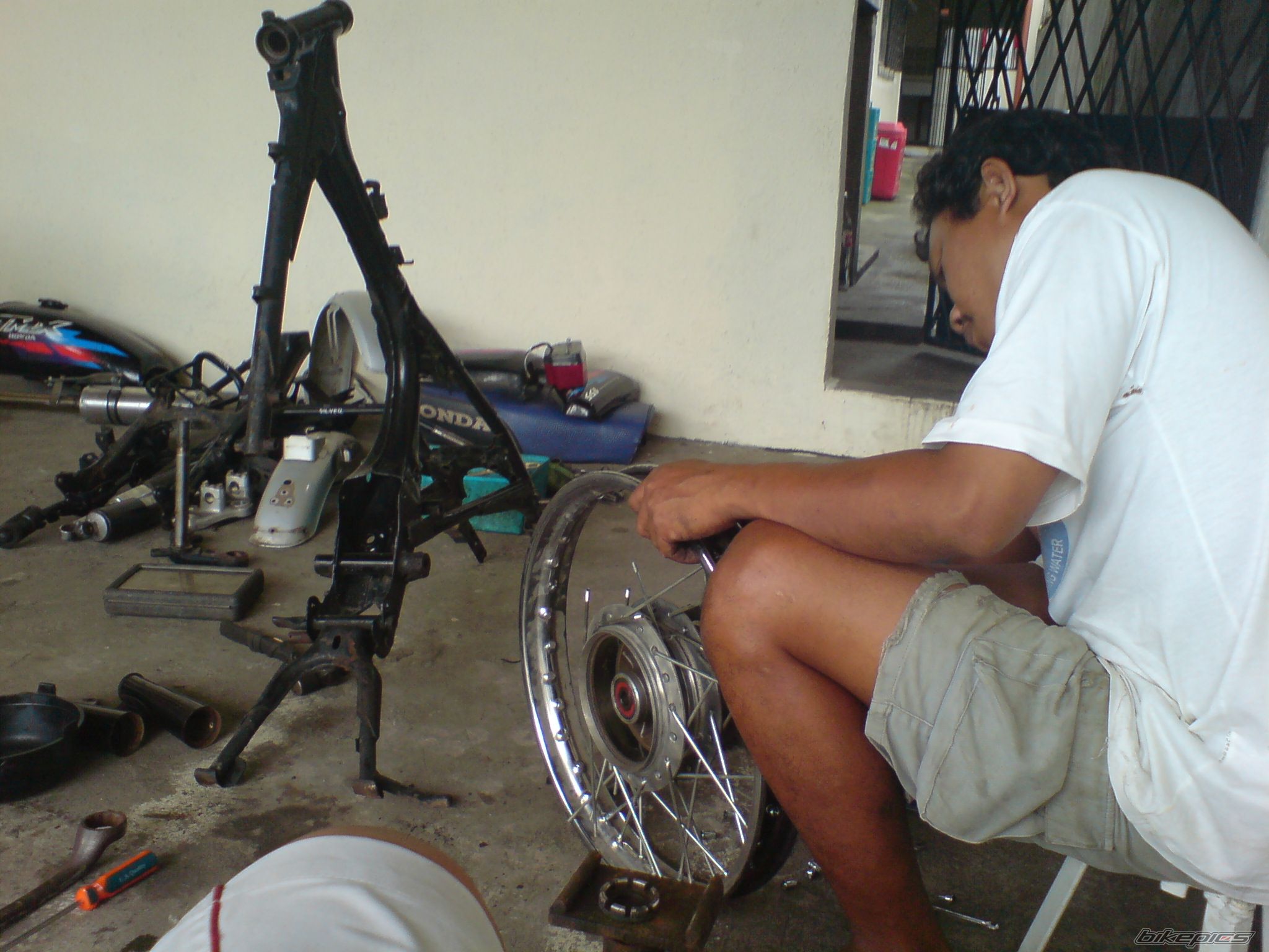 Photo 1572274