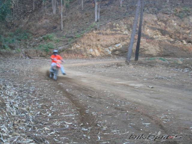 Photo 157236