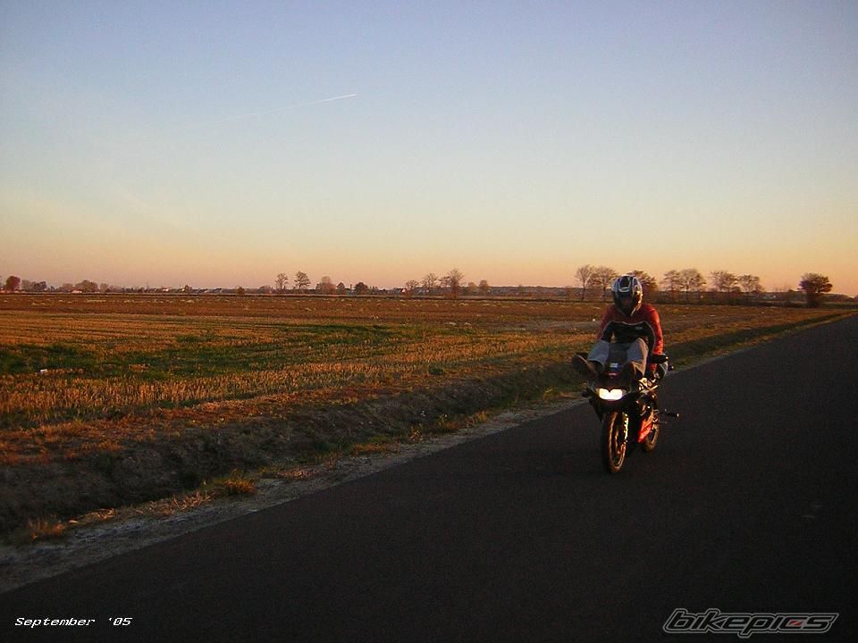 Photo 1572393