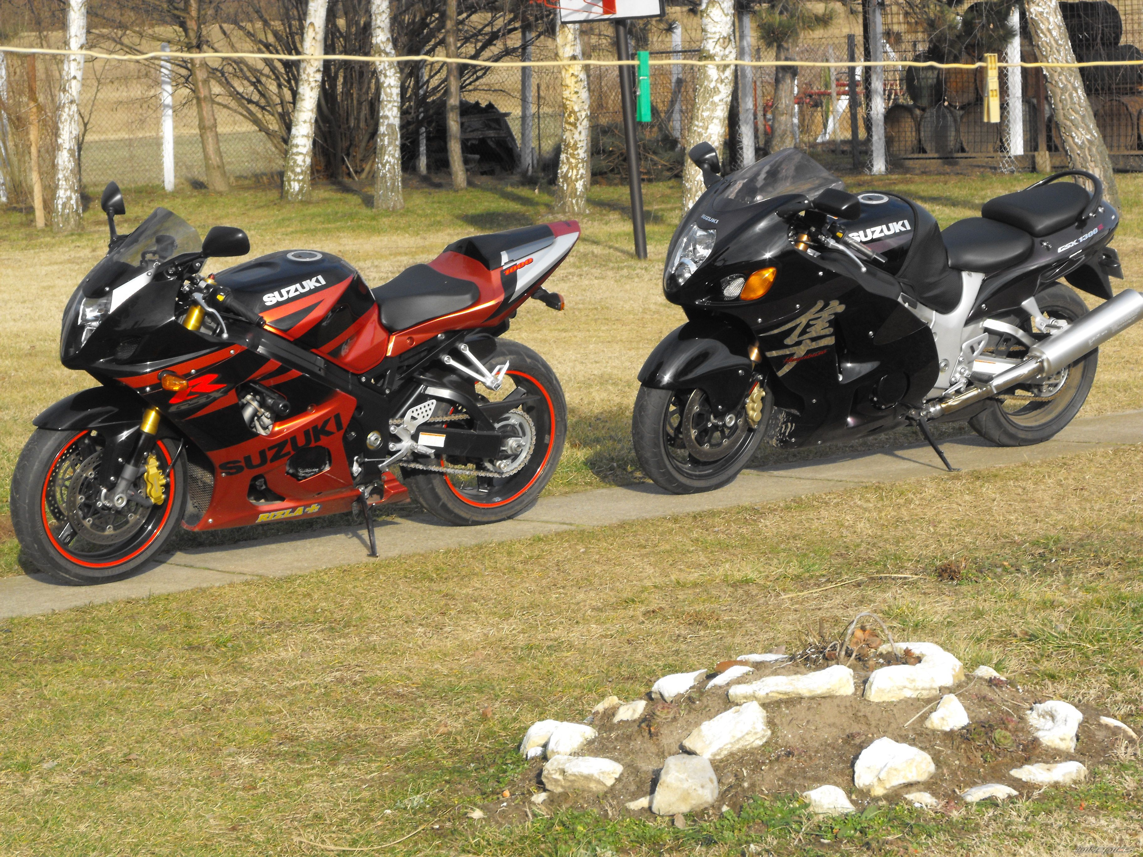 Photo 1572412