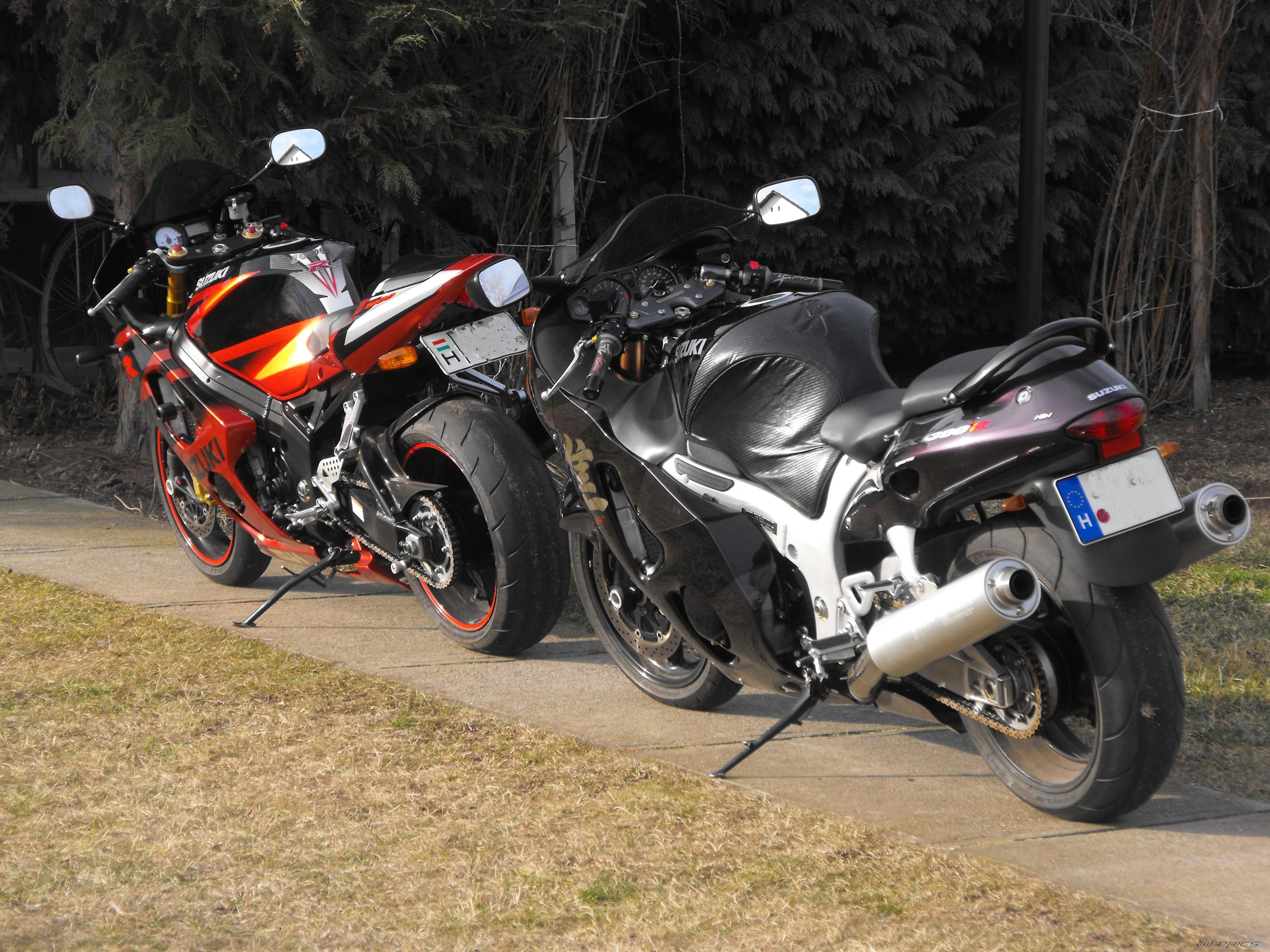 Photo 1572417