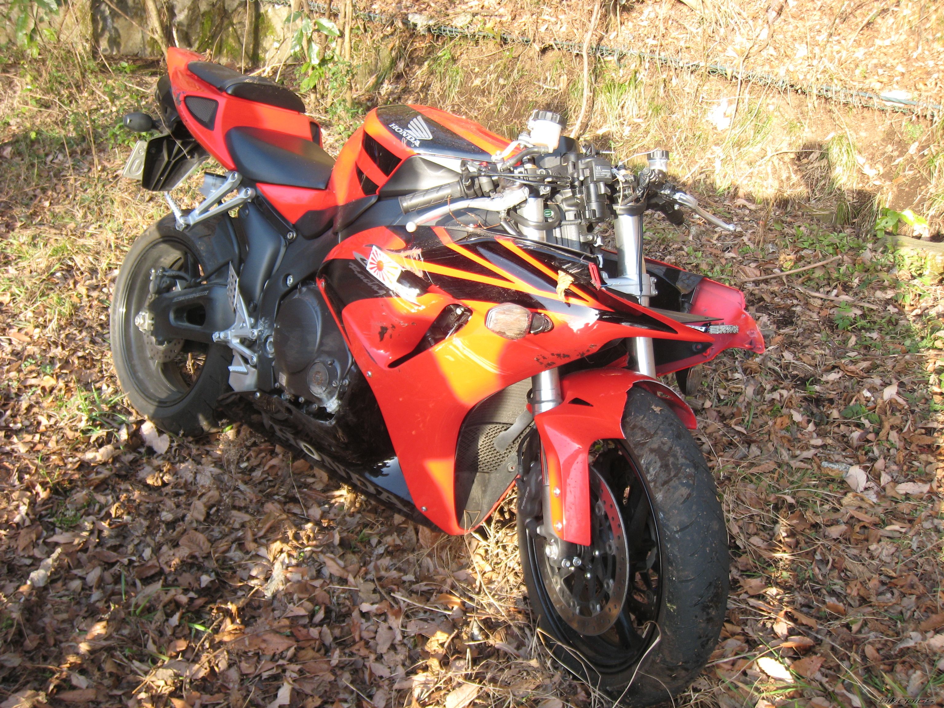 Photo 1572445
