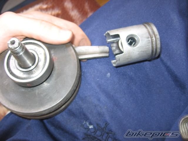 Photo 1572529