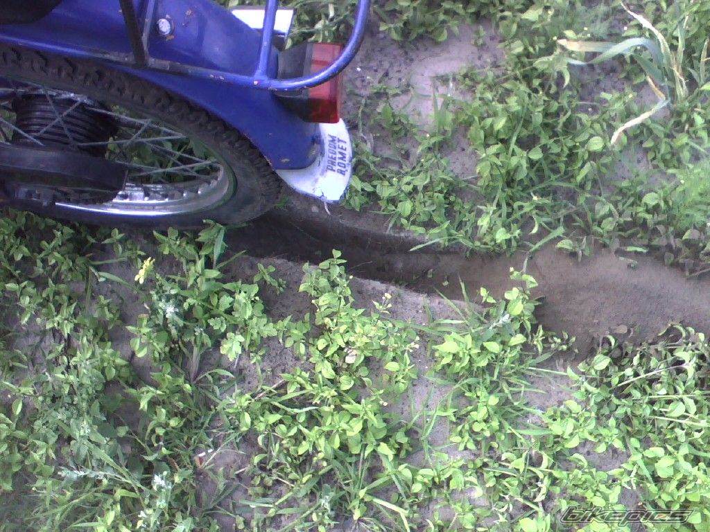 Photo 1572568