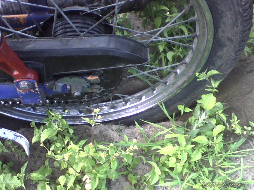 Bike Photo 1572573
