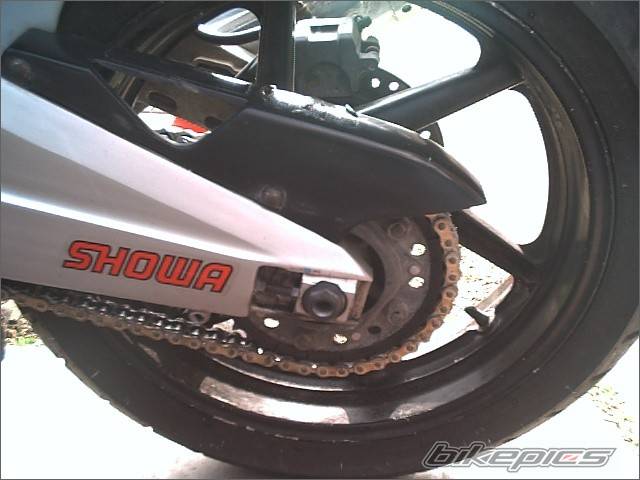 Photo 157264