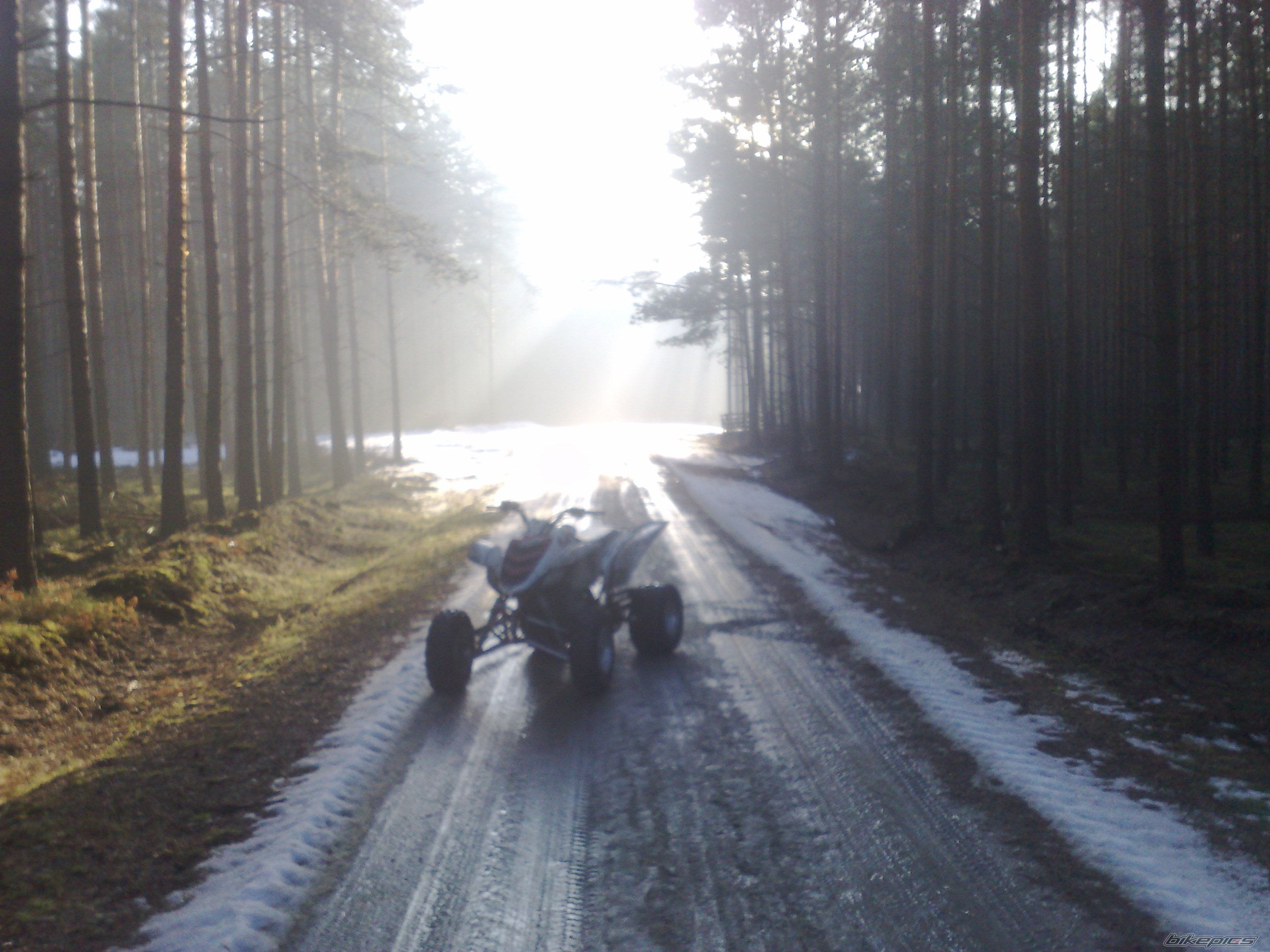 Photo 1572732