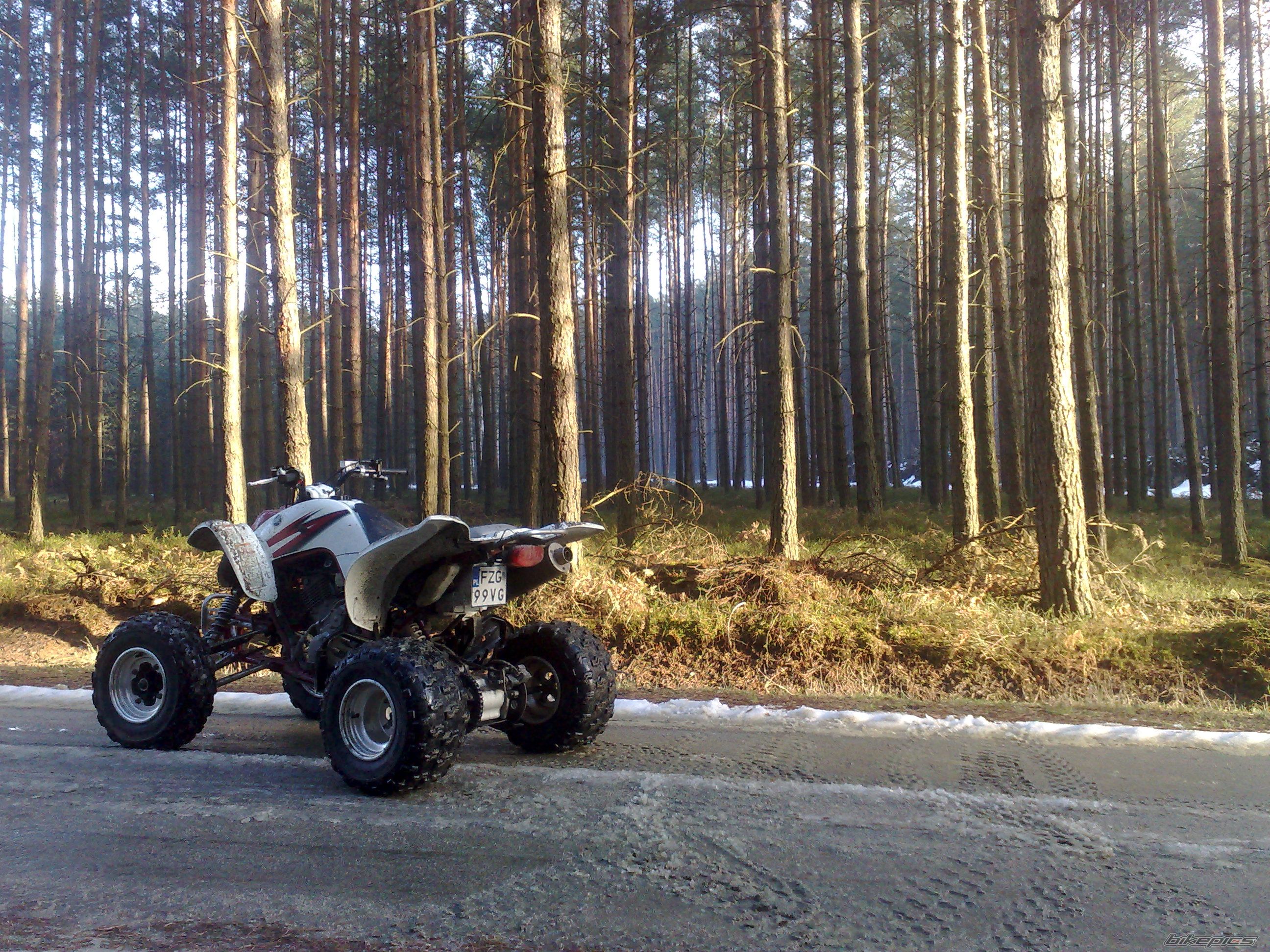 Photo 1572735