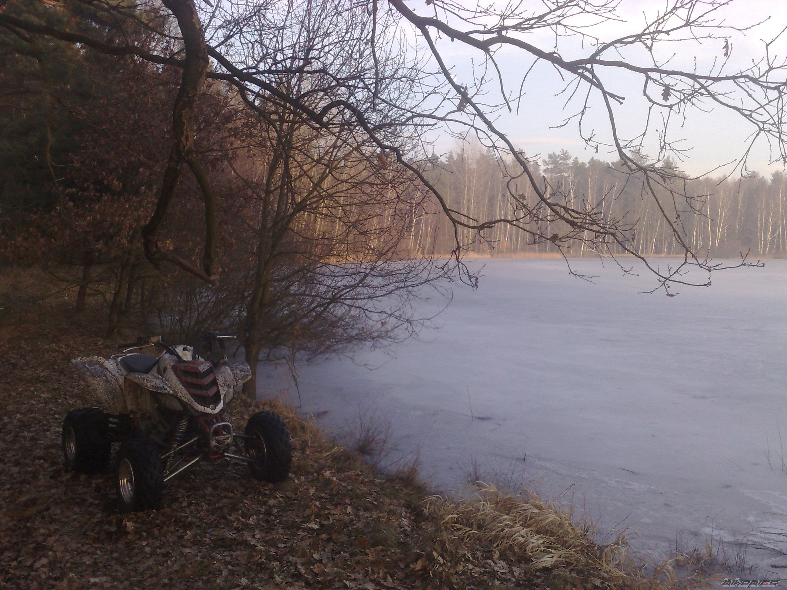 Photo 1572740