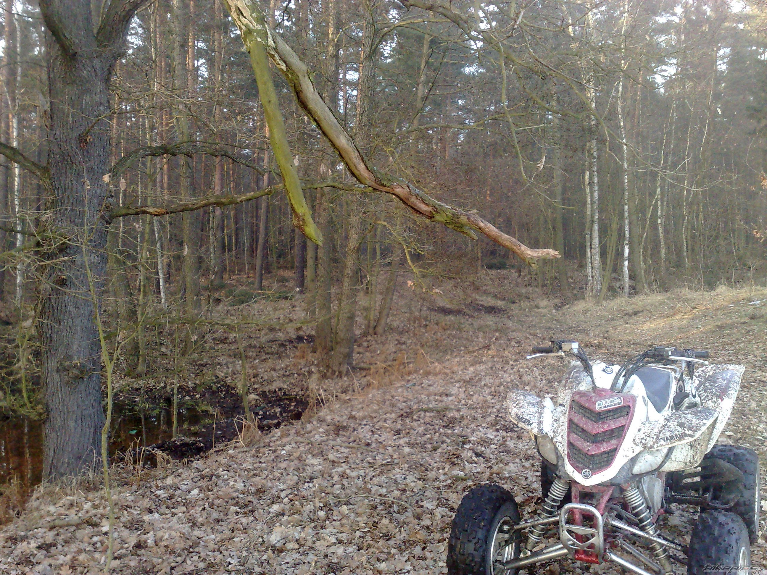 Photo 1572745
