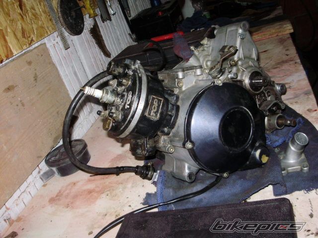 Photo 1572748