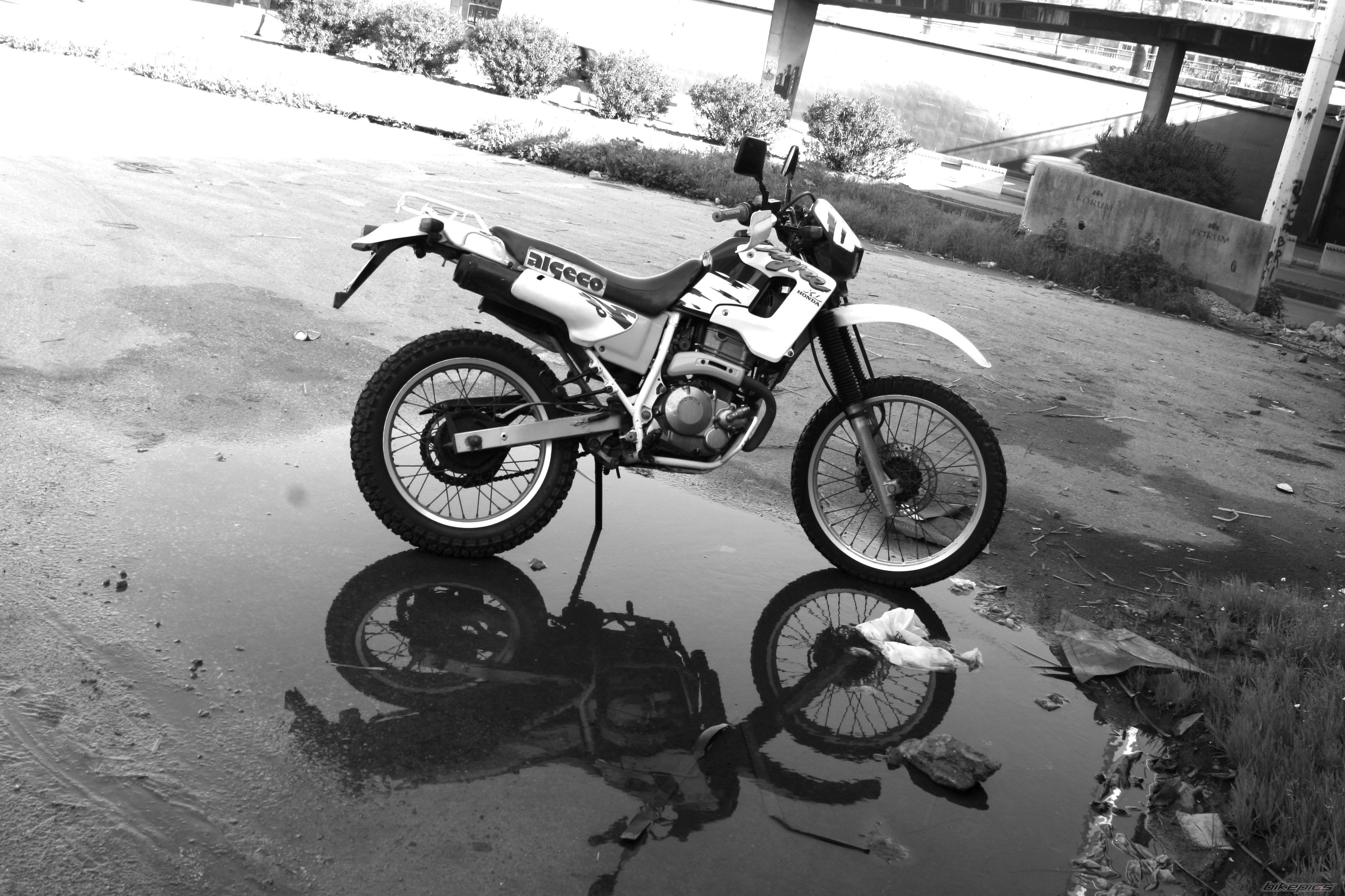 Photo 1572783